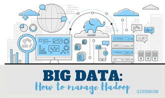 數據賦能醫療 Hadoop大數據如何重塑患者護理與數據交易服務