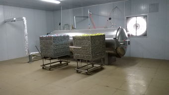 食品廠轉型良機 咸蛋廠整線設備打包轉讓，含鍋爐、殺菌鍋、洗蛋機等